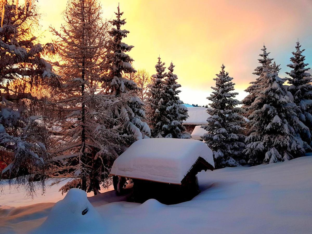 Appartement Cosy Aux Saisies N1 Ле-Сейсье Экстерьер фото